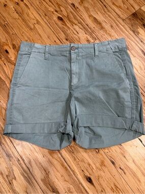 GAP Olive Green Casual Shorts with Navy Trim